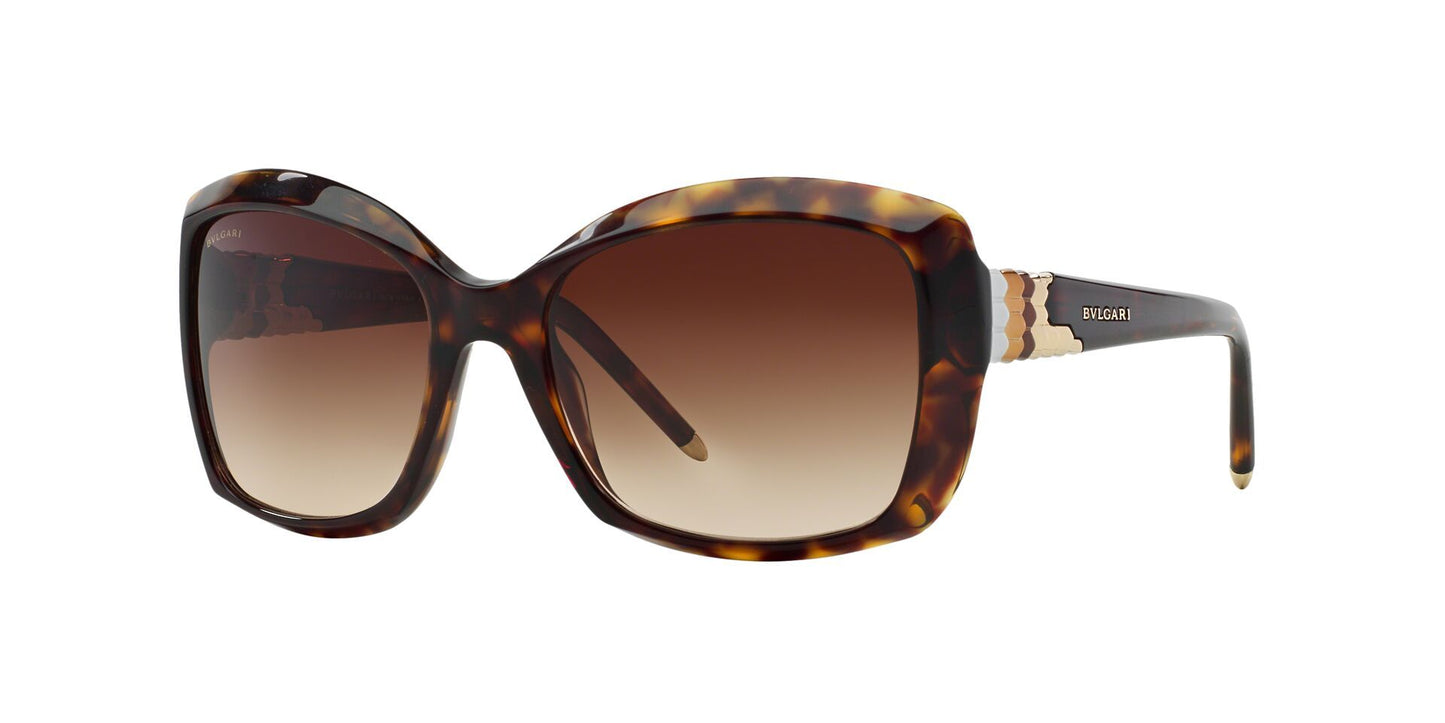 Lente Solar Bvlgari BV8133 Havana