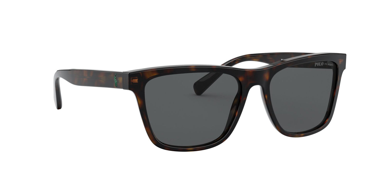 Lente Solar Polo Ralph PH4167 Havana
