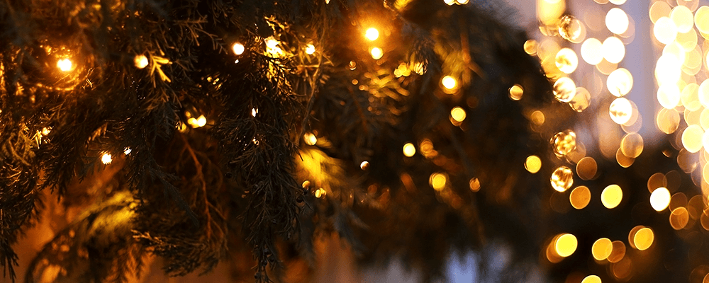 ¡Ve un fin de semana lleno de luces y colores!