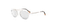 Lente Solar Ermenegildo Zegna EZ0103 Plata