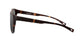 Lente Solar Nautica N6224S Havana