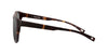 Lente Solar Nautica N6224S Havana