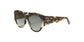 Lente Solar Christian Dior LADYDIORSTUDS2 Havana