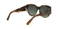 Lente Solar Christian Dior LADYDIORSTUDS2 Havana