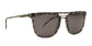 Lente Solar Calvin Klein CK1239S Havana