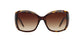 Lente Solar Bvlgari BV8133 Havana