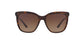 Lente Solar Bvlgari BV8173B Havana
