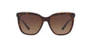 Lente Solar Bvlgari BV8173B Havana