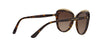 Lente Solar Dolce Gabbana DG4304 Havana