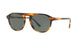 Lente Solar Giorgio Armani AR8096 Havana
