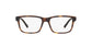 Lente Oftálmico Polo Ralph PH2176 Havana