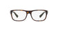 Lente Oftálmico Dolce Gabbana DG3276 Havana