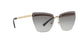 Lente Solar Versace VE2190 Dorado