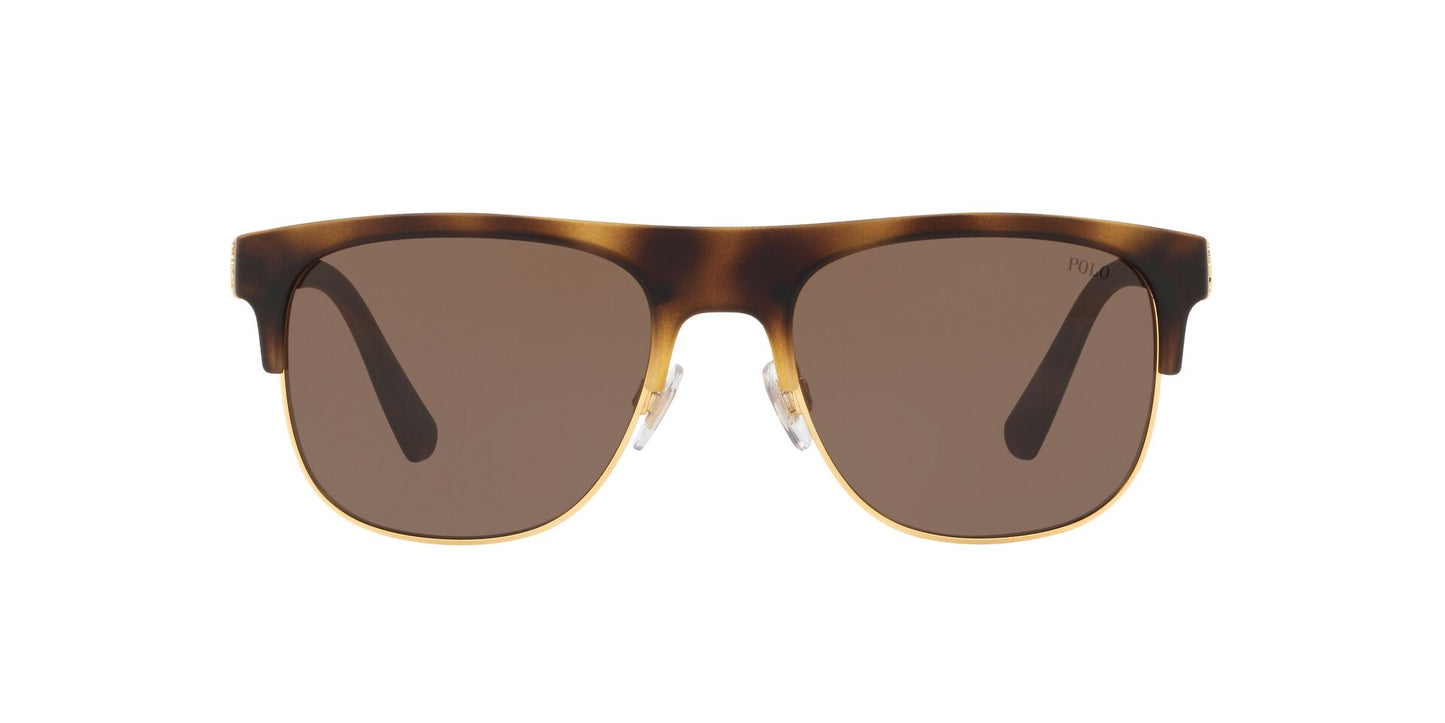 Lente Solar Polo Ralph PH4132 Havana
