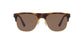 Lente Solar Polo Ralph PH4132 Havana
