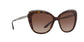 Lente Solar Dolce Gabbana DG4332 Havana