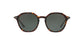 Lente Solar Giorgio Armani AR8109 Havana
