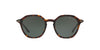 Lente Solar Giorgio Armani AR8109 Havana