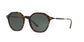 Lente Solar Giorgio Armani AR8109 Havana