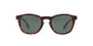 Lente Solar Giorgio Armani AR8112 Havana