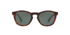 Lente Solar Giorgio Armani AR8112 Havana