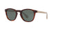 Lente Solar Giorgio Armani AR8112 Havana
