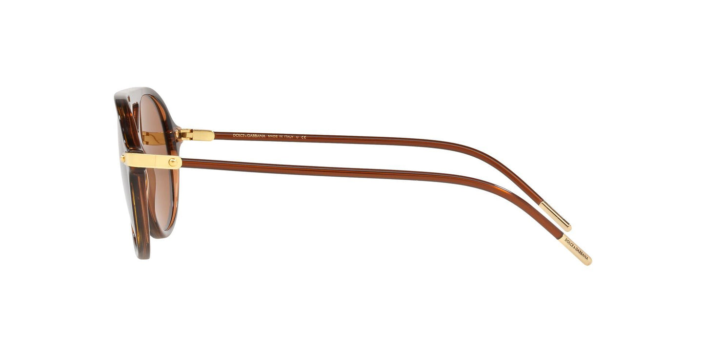 Lente Solar Dolce Gabbana DG4343 Havana