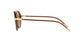 Lente Solar Dolce Gabbana DG4343 Havana