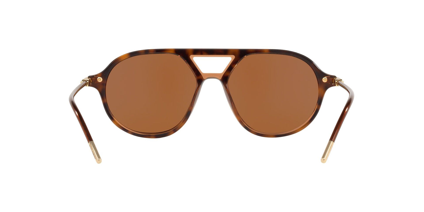 Lente Solar Dolce Gabbana DG4343 Havana