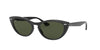 Lente Solar Ray Ban RB4314N Negro
