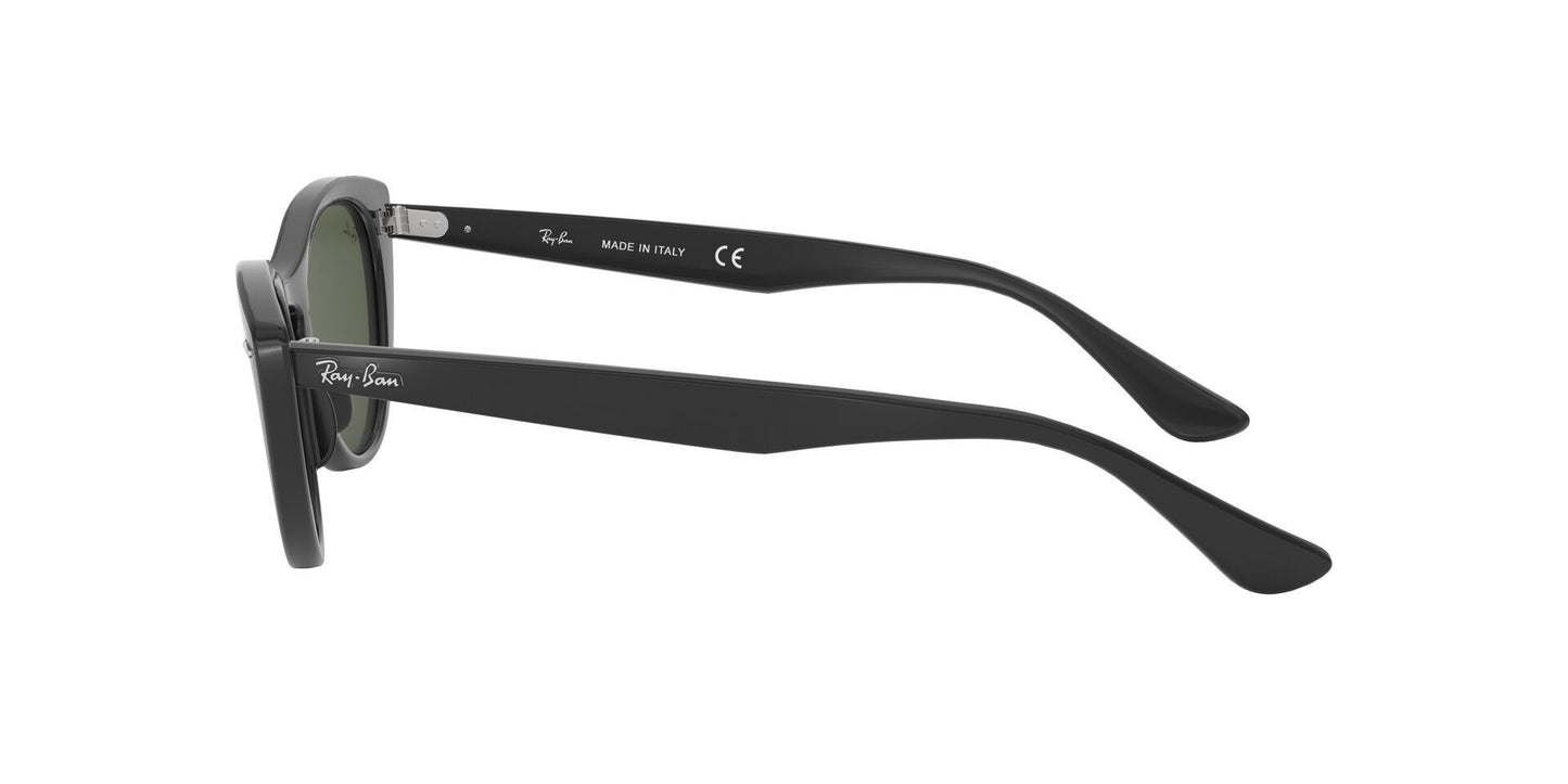 Lente Solar Ray Ban RB4314N Negro