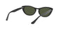 Lente Solar Ray Ban RB4314N Negro
