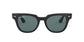 Lente Solar Ray Ban RB2168 Negro