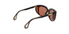 Lente Solar Gucci GG0468S Havana