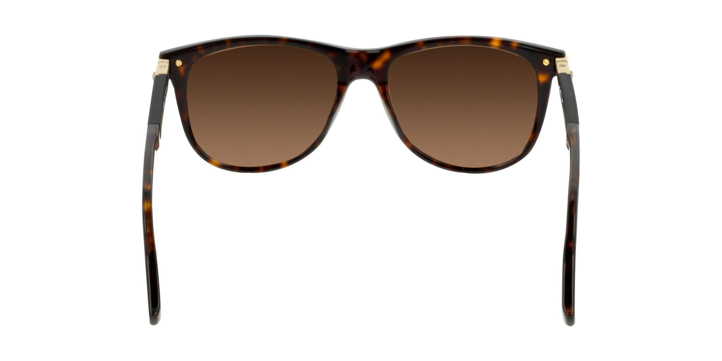 Lente Solar Montblanc MB0031S Havana