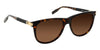 Lente Solar Montblanc MB0031S Havana