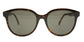 Lente Solar Yves Saint Laurent SL 317 Havana