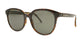 Lente Solar Yves Saint Laurent SL 317 Havana