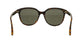 Lente Solar Yves Saint Laurent SL 317 Havana