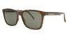 Lente Solar Yves Saint Laurent SL 318 Havana