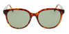 Lente Solar Yves Saint Laurent SL 317 Havana