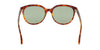 Lente Solar Yves Saint Laurent SL 317 Havana