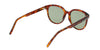 Lente Solar Yves Saint Laurent SL 317 Havana