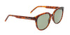 Lente Solar Yves Saint Laurent SL 317 Havana