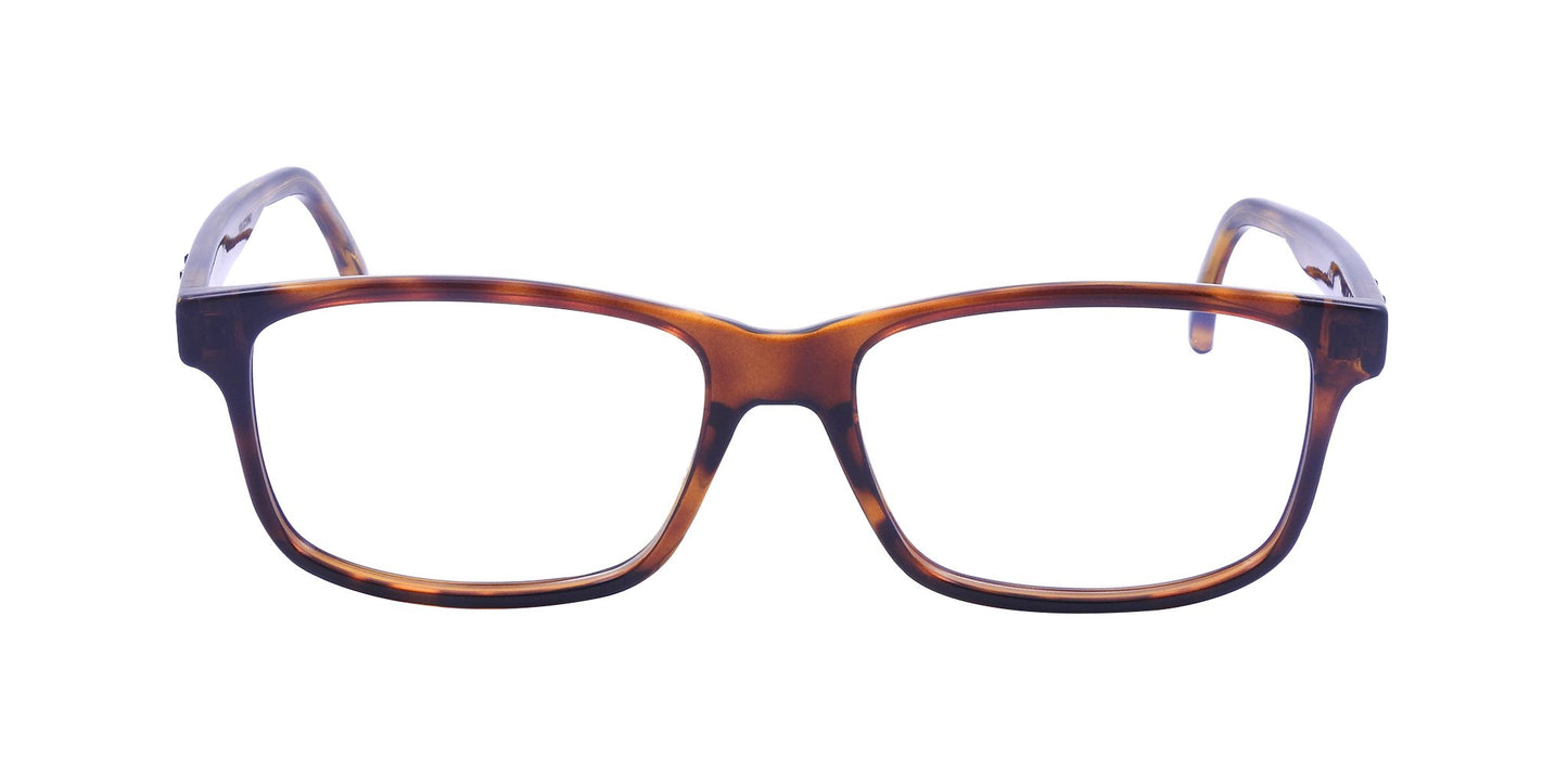 Lente Oftálmico Yves Saint Laurent SL 319 Havana