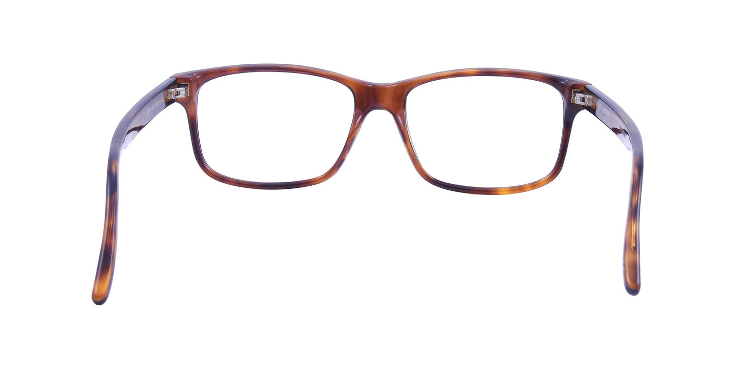 Lente Oftálmico Yves Saint Laurent SL 319 Havana