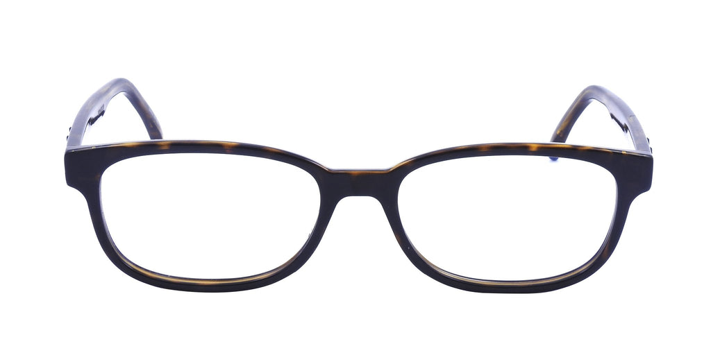 Lente Oftálmico Yves Saint Laurent SL 320 Havana