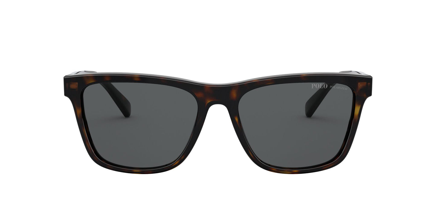 Lente Solar Polo Ralph PH4167 Havana