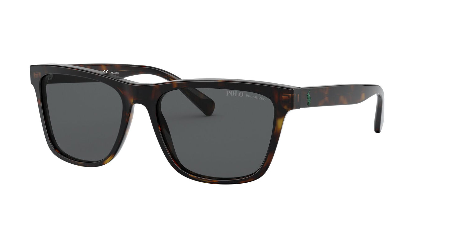 Lente Solar Polo Ralph PH4167 Havana