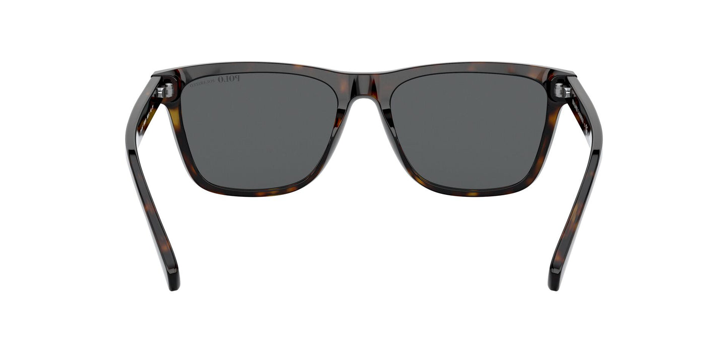 Lente Solar Polo Ralph PH4167 Havana